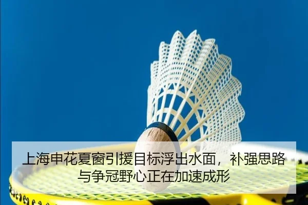 上海申花夏窗引援目标浮出水面，补强思路与争冠野心正在加速成形